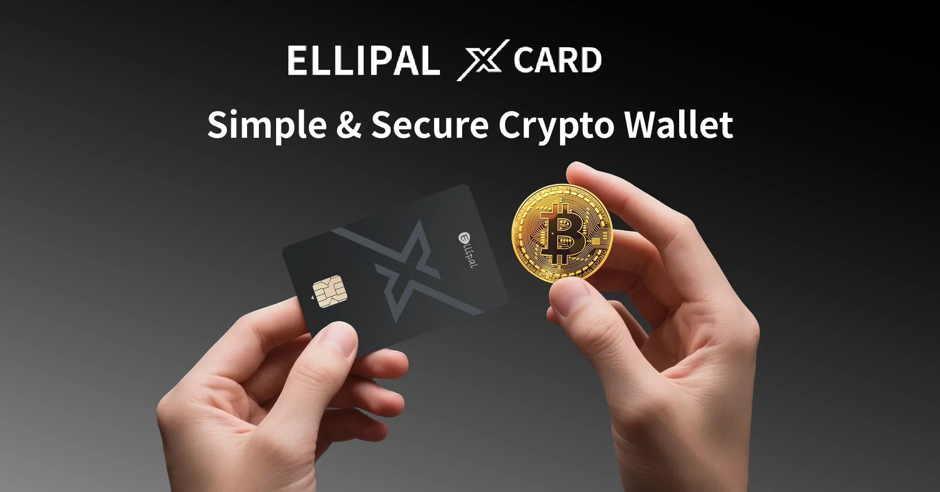 best cold wallet for xrp